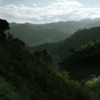 Untitled 5