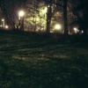 Untitled 8