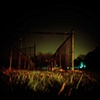 Into the Night...