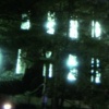 Untitled 7
