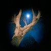 Moon, 8:47 P.M.
