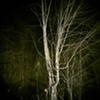 Stranger