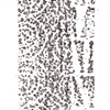 "osmotic monolith"