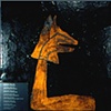 Large Tile 2 