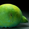 Bird head 1