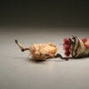 chnaxu onxsa y cheyu