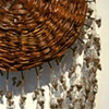 Once I Started Looking I Could Not Stop Finding, Detail