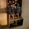 Swarm, detail