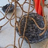 Turkey Time, Detail