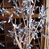 Swarm, detail