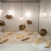 My Ancestors Row with Golden Keels
