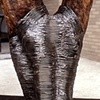 Aegis, detail