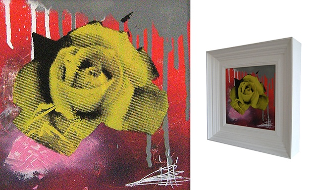 ROSE SERIES