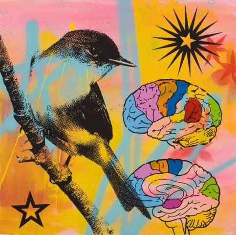 BIRDBRAIN