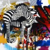 ZEBRAVISION