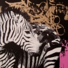 ZEBRAFITI (Pink + Gold)