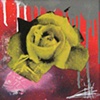 ROSE SERIES