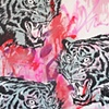Crying Tiger Part 6