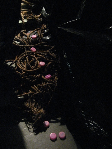 Pink Cityt prototype in Darkness