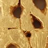 Bleeping Gold