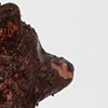 Grizzly Mama detail