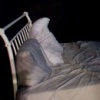 Bed Sheet Revolution- Speak