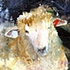 Ewe Too