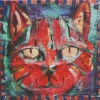 Danger Cat