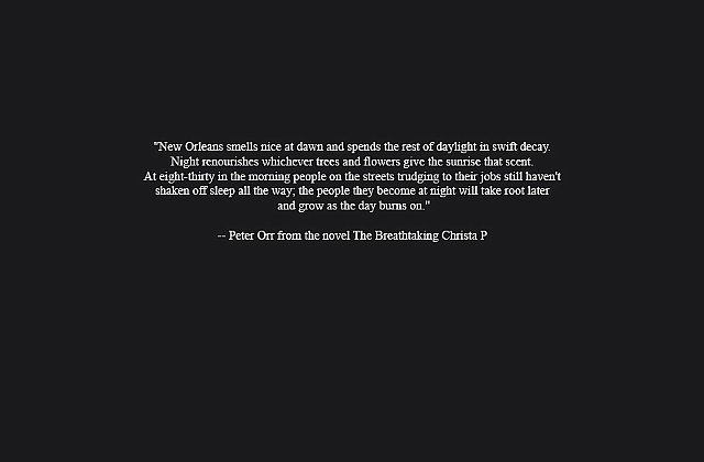 --- Peter Orr from the novel The Breathtaking Christa P 

Peter Orr is a musician, song writer and author residing in New Orleans, LA.