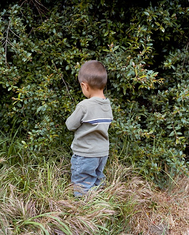 Brynn's back, Ventura, CA. 2009