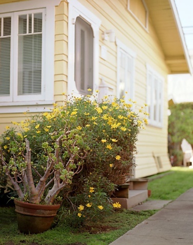 Childhood Home, Venice, CA. 2005