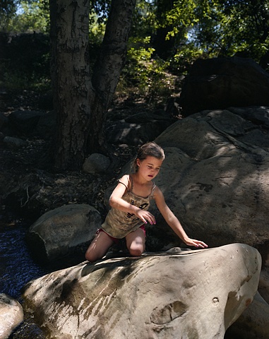 Willow after river slip, Ojai, CA. 2009