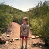 Willow, Ojai, CA. 2009