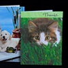 Commissary bought greeting cards