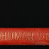 Human Destiny from the work in progress 'Fictional Library'