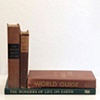 Fictional Bookshelf 
(found objects on white table)
