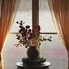 Floral Still life, 2008