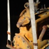 Remembrance Detail
