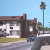Suburban Landscape