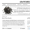 Seeds (a work in progress)