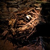 Mildreds Lane Museum