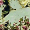 Andalusia