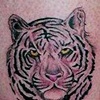 Tattoo by George Benjamin