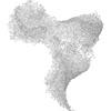 Flock 9