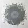 Untitled 5