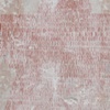 Star 1 Detail