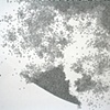 Untitled 6 detail