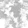 Flock 4 detail