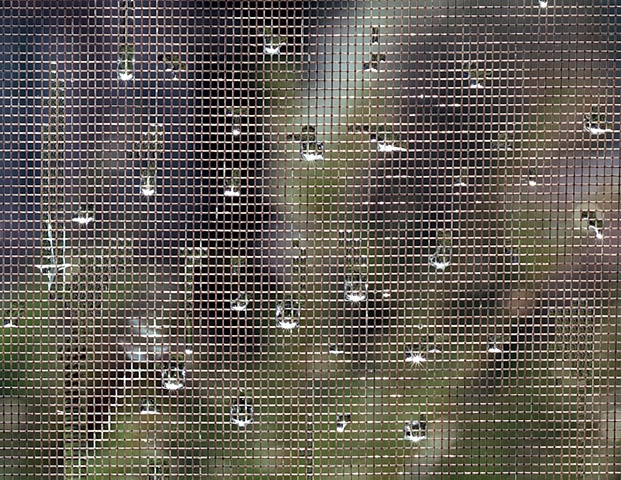 Raindrops in a window screen