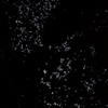Particles 12